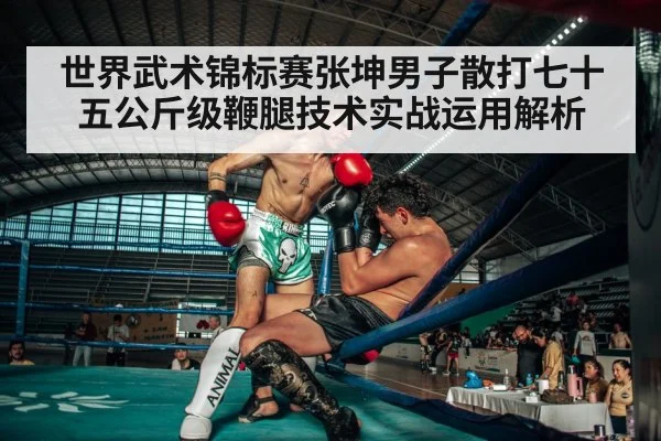 世界武术锦标赛张坤男子散打七十五公斤级鞭腿技术实战运用解析
