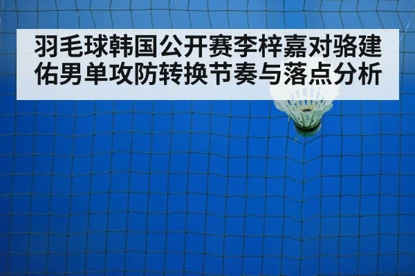 badminton net shot